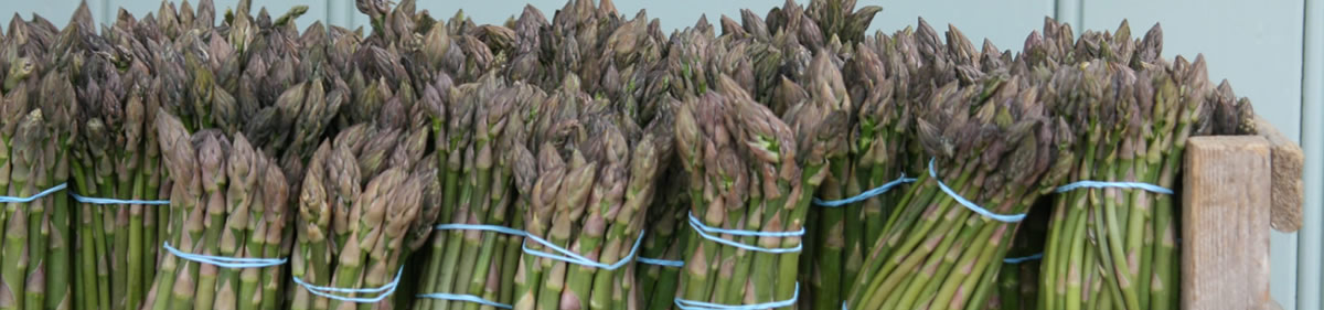 Asparagus in a Crate