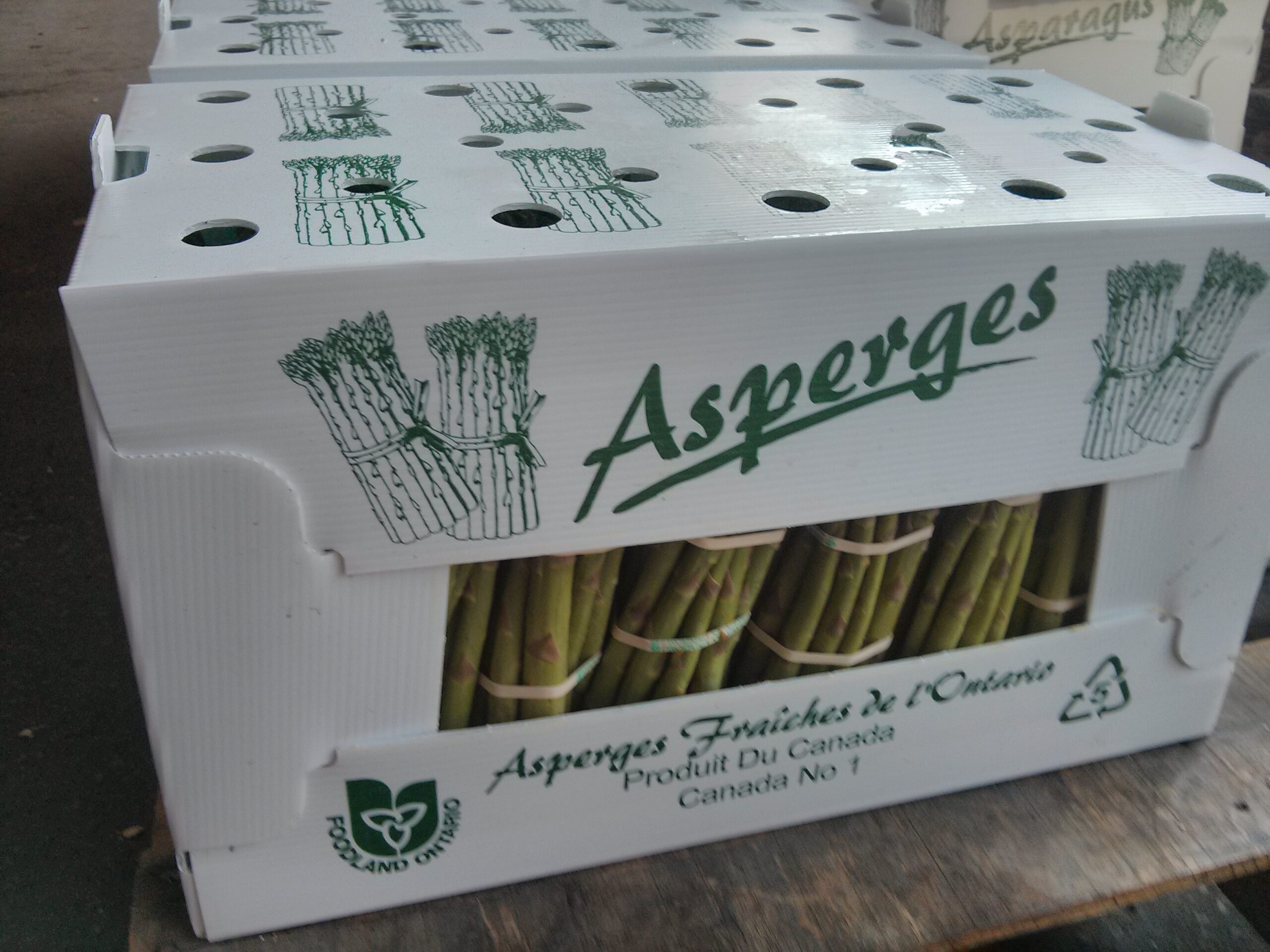 Local Asparagus, No. 1 Regular - 28lbs - Image 3