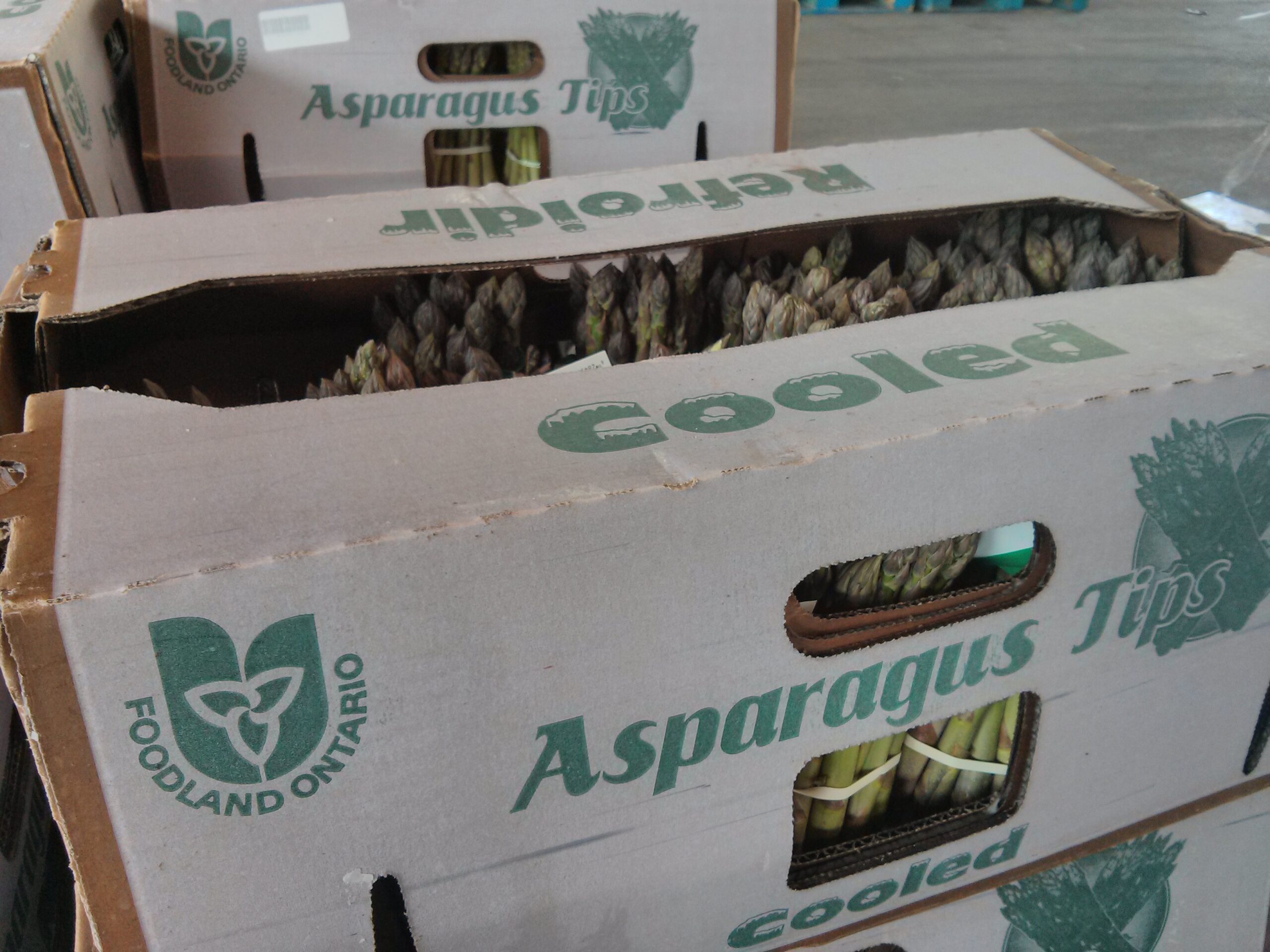 Local Asparagus, No. 1 Regular - 28lbs Alternate View