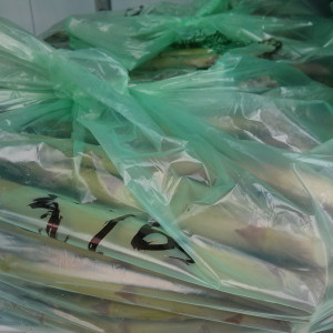 10lb Bags of Asparagus from Barrie Hill Farms