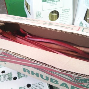 10lb boxes of local Ontario rhubarb